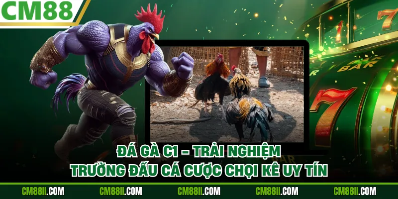Đá Gà C1 - Trải Nghiệm Trường Đấu Cá Cược Chọi Kê Uy Tín