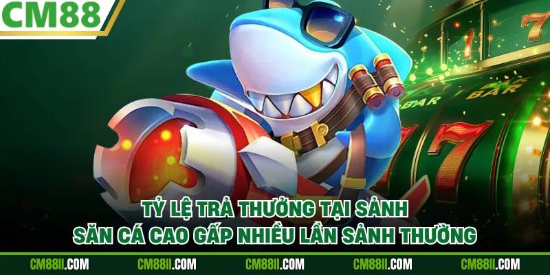 Tỷ lệ trả thưởng tại sảnh săn cá cao gấp nhiều lần sảnh thường